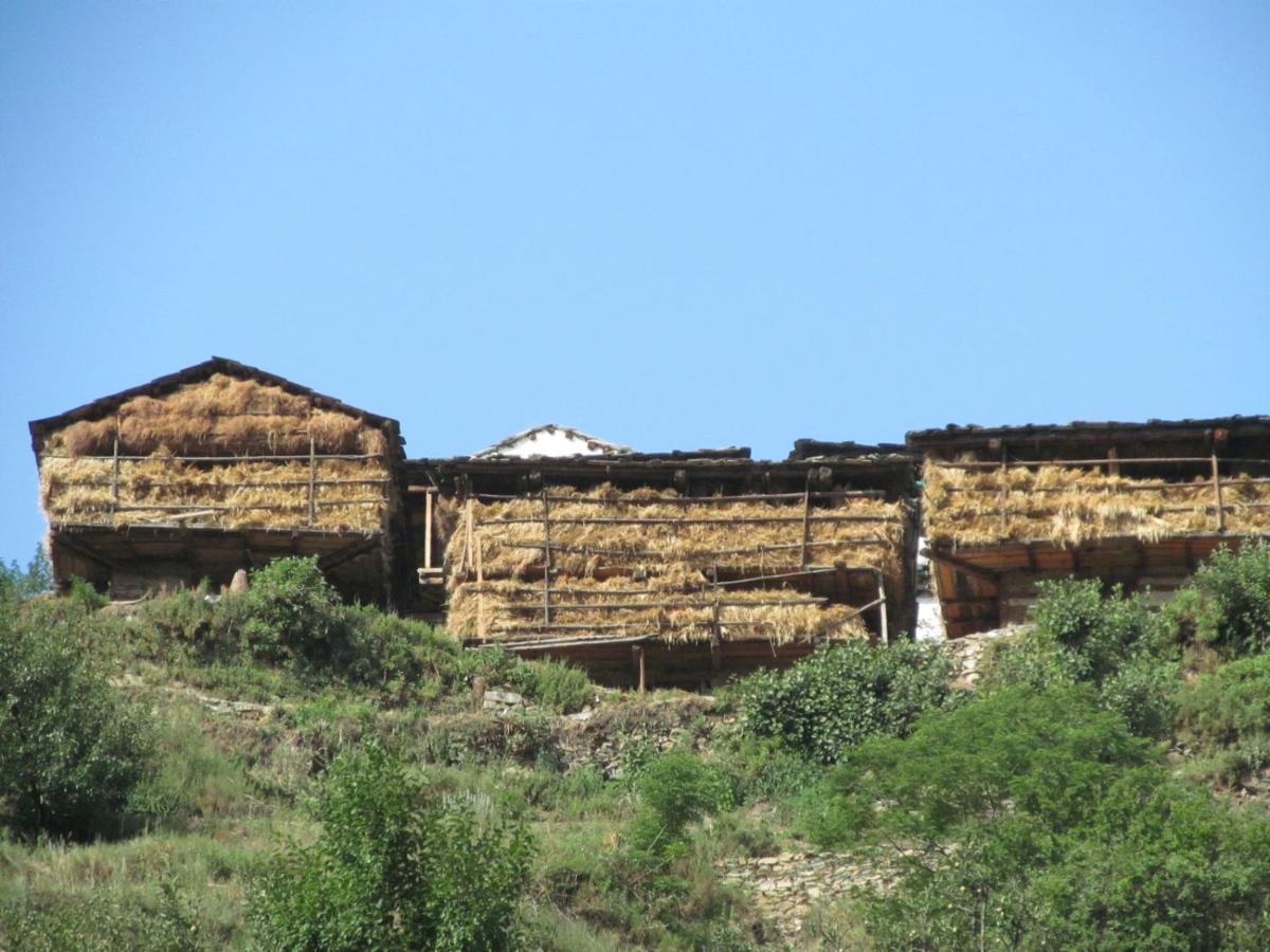 Mozo Inn&Cafe Jibhi Banjār Exterior foto